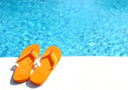 Bc Alouette gaat door in de zomervakantie