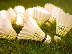 Zomerbadminton op dinsdag Zomerbadminton op dinsdag